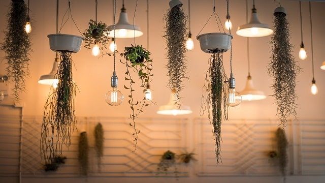 🏢 Commercial Interiors